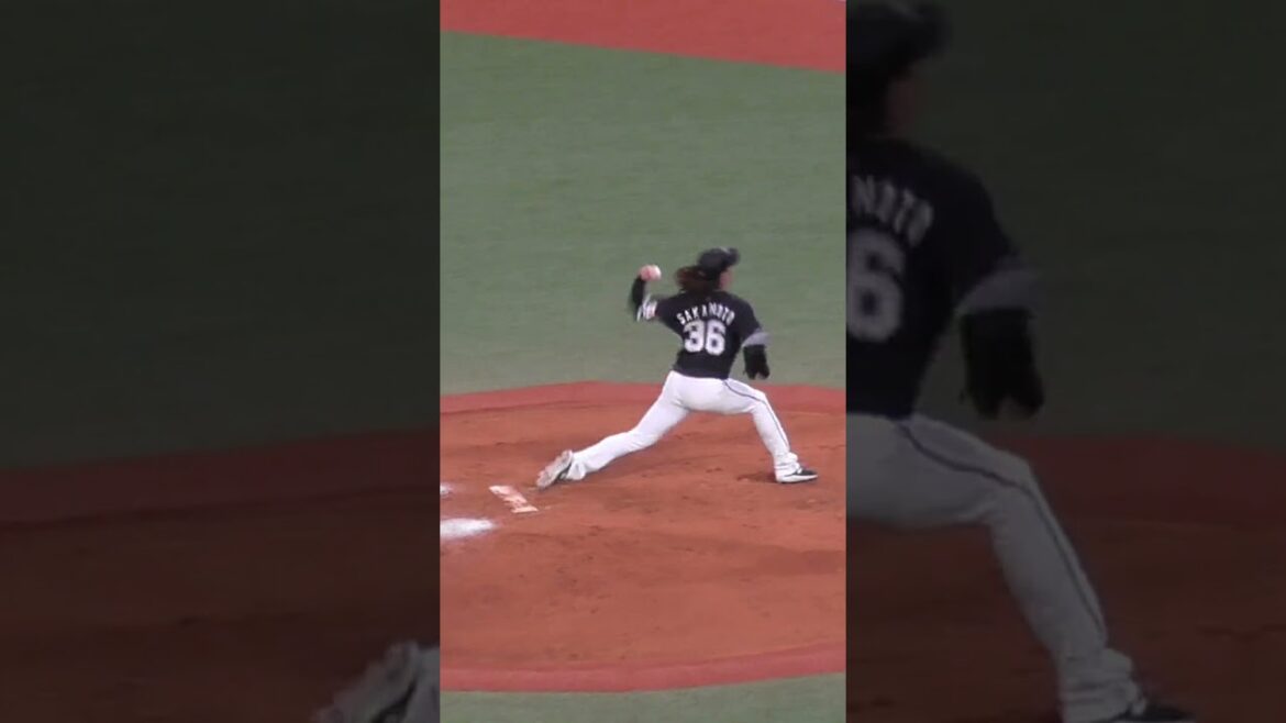 坂本 光士郎　髪の毛伸びててごめんなさい　#千葉ロッテマリーンズ #shorts