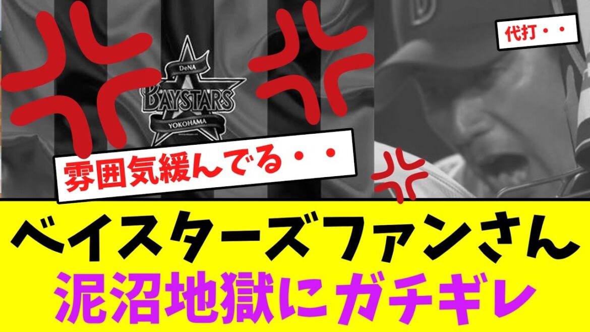 ベイスターズファンさん、泥沼地獄にガチギレ・・・【なんJなんG】【2ch5ch】