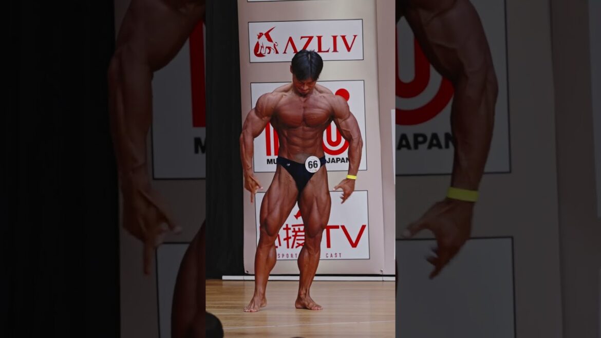 2024ボディビル日本選手権 嶋田慶太 Top12入場 #shorts