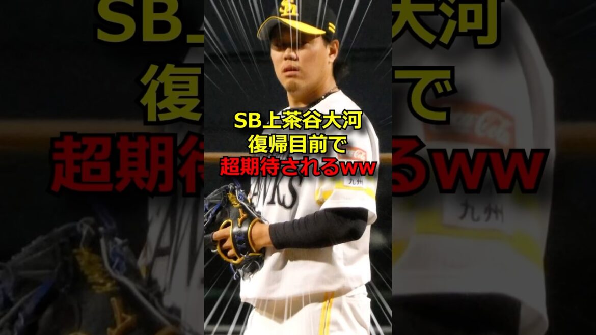 SB上茶谷、超期待されてるw