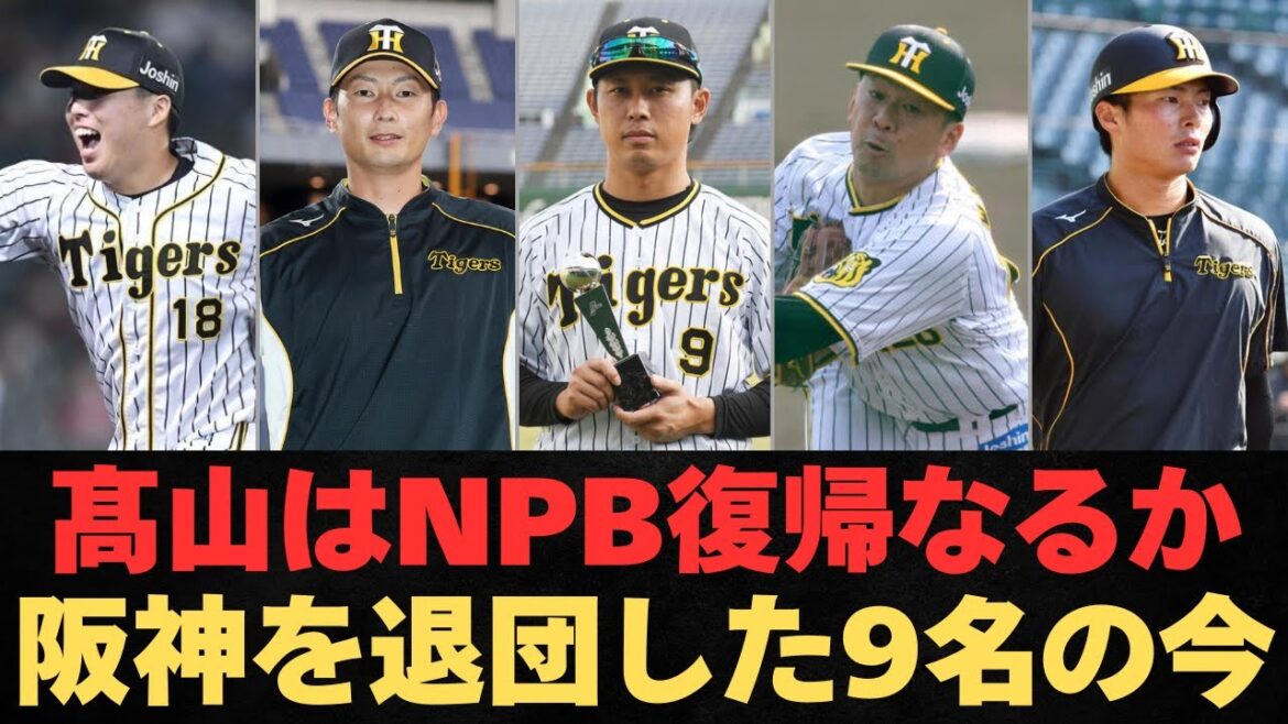 【あの選手は今】2023年に阪神を退団した9選手のその後に迫る！【阪神タイガース】