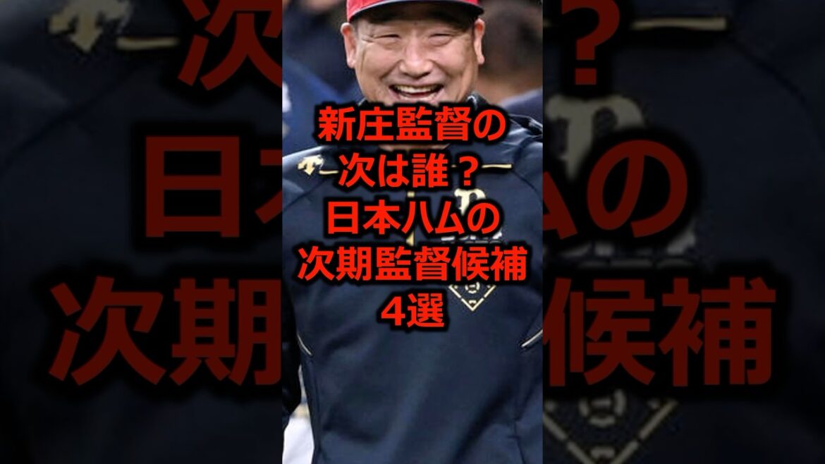 新庄監督の次は誰？日本ハムの次期監督候補4選 #プロ野球 #新庄剛志 #北海道日本ハムファイターズ
