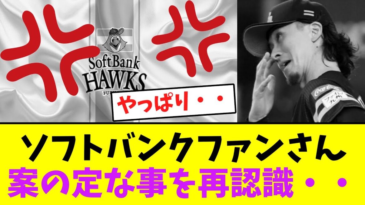 ソフトバンクファンさん、上沢について案の定なことを再認識する・・【なんJなんG】【2ch5ch】