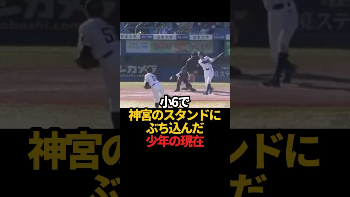 小6で神宮のスタンドにぶち込んだ少年の現在#sports #shorts #プロ野球#高校野球  #野球 #やきゅスト