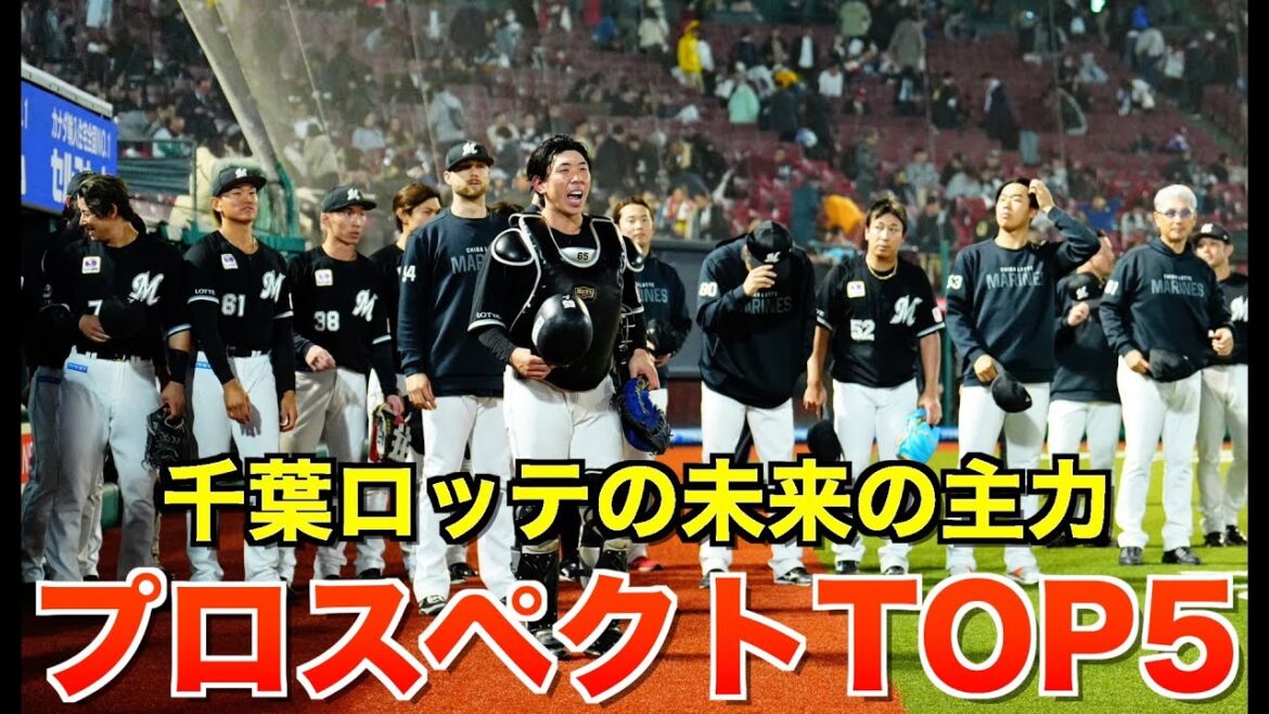 【希望の光】千葉ロッテマリーンズ 若手有望株ランキングTOP5