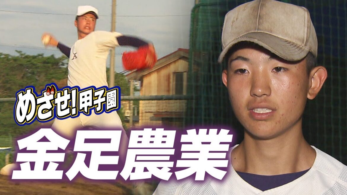 めざせ！甲子園【#金足農業】夏の高校野球秋田大会 #夢球場2025