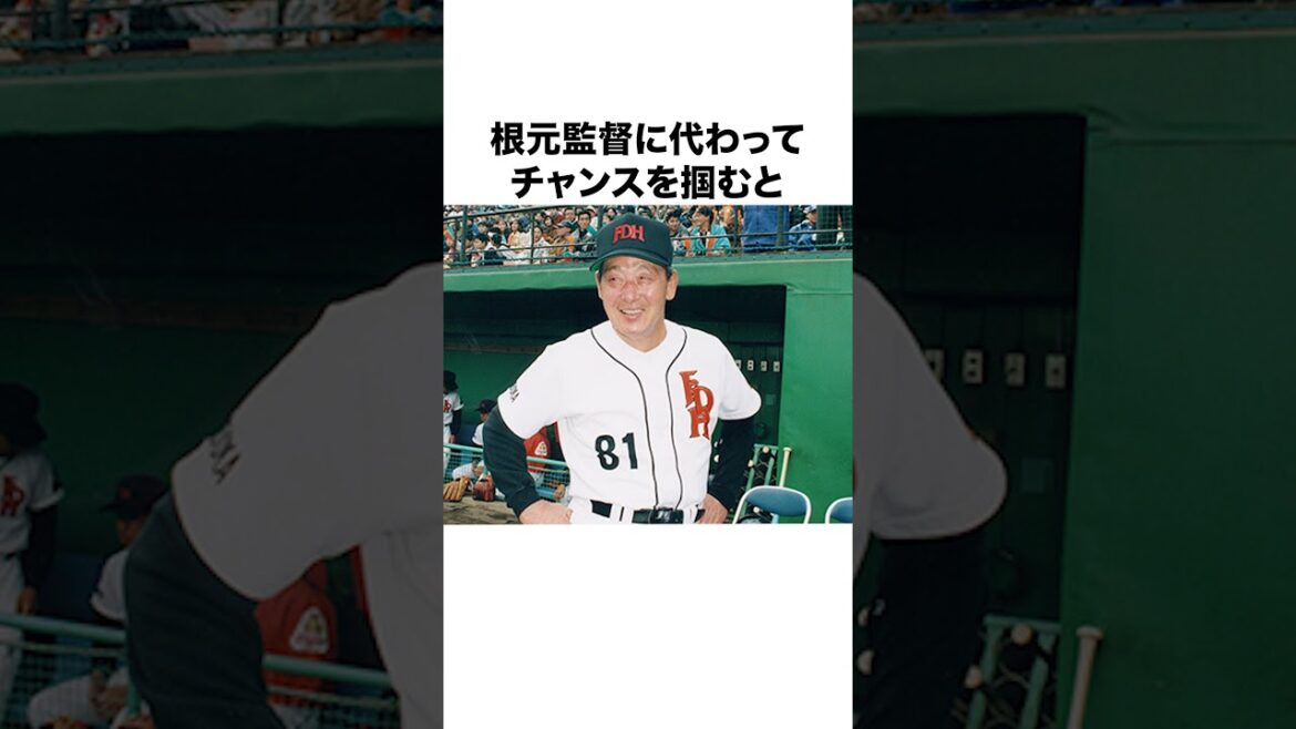 「野村再生工場の最高傑作」古田敦也と最優秀賞バッテリーの田畑一也についての雑学#野球#野球雑学#東京ヤクルトスワローズ 「野村再生工場の最高傑作」古田敦也と最優秀賞バッテリーの田畑一也についての雑学#野球#野球雑学#東京ヤクルトスワローズ