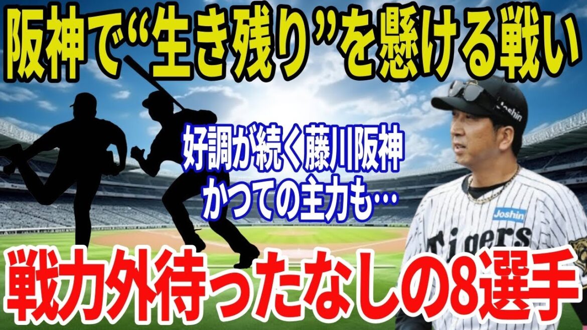 【阪神タイガース】2025年戦力外候補はこの8人？藤川新体制で浮かぶ希望と崖っぷちの現実