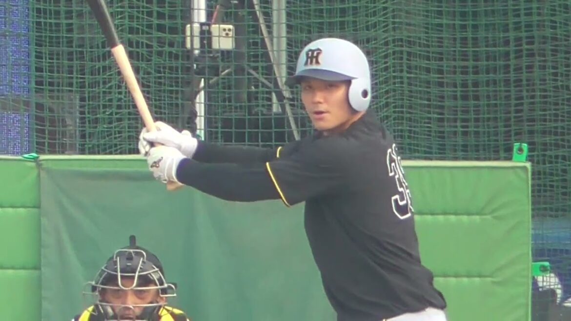 2025年7月6日 阪神・榮枝 裕貴 選手の試合前フリー打撃練習