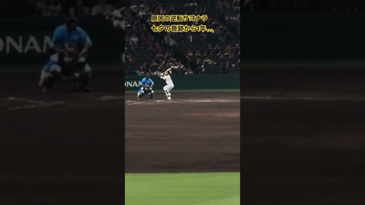 #七夕 #原口文仁 逆転サヨナラ打 #阪神タイガース #プロ野球 #甲子園 2024.7.7