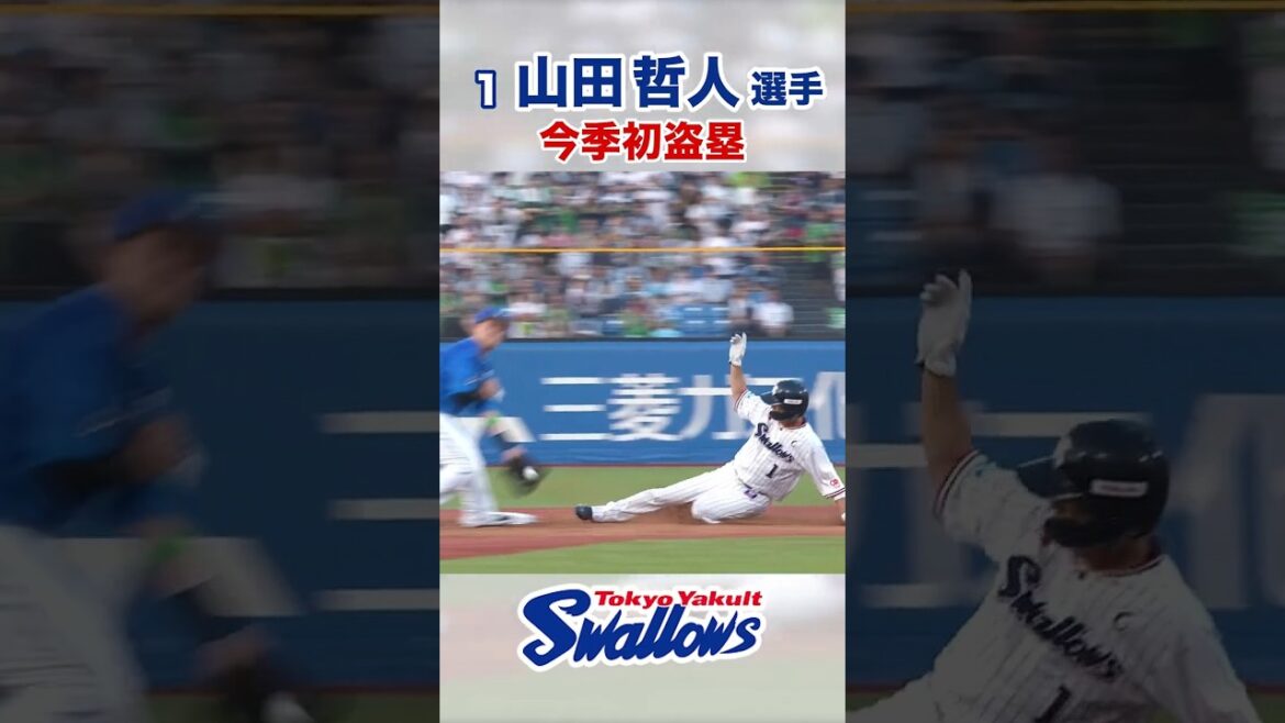 山田哲人選手 今季初盗塁  #swallows #山田哲人 #shorts