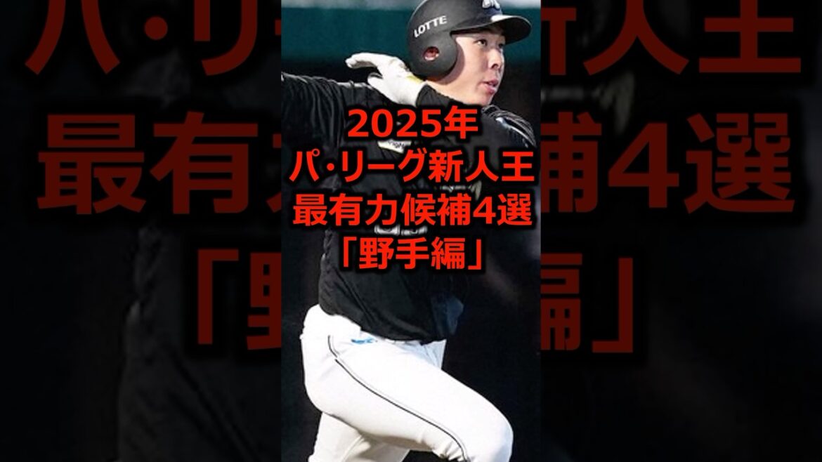 2025年パ・リーグ新人王最有力候補4選「野手編」 #プロ野球 #千葉ロッテマリーンズ #新人王 2025年パ・リーグ新人王最有力候補4選「野手編」 #プロ野球 #千葉ロッテマリーンズ #新人王