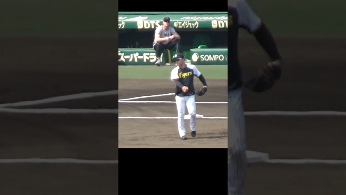 阪神 熊谷/小幡/髙寺/ヘルナンデス/榮枝/藤本コーチ