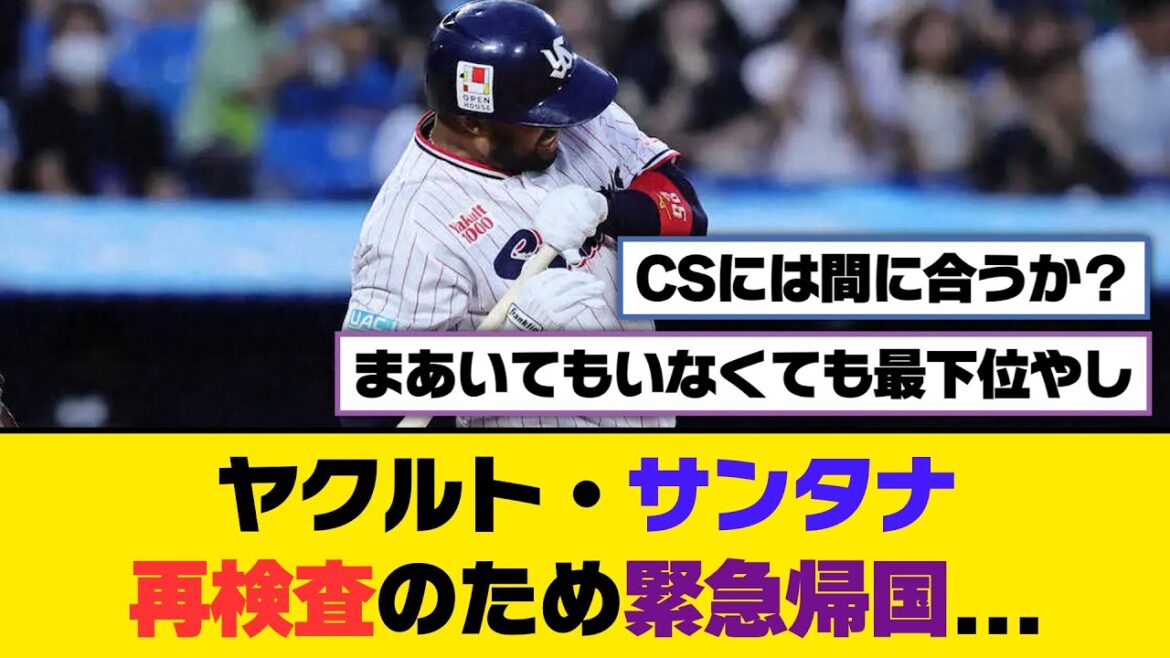 ヤクルト・サンタナ、再検査のため緊急帰国...【5ch/2ch】【なんj/なんg】【反応集】