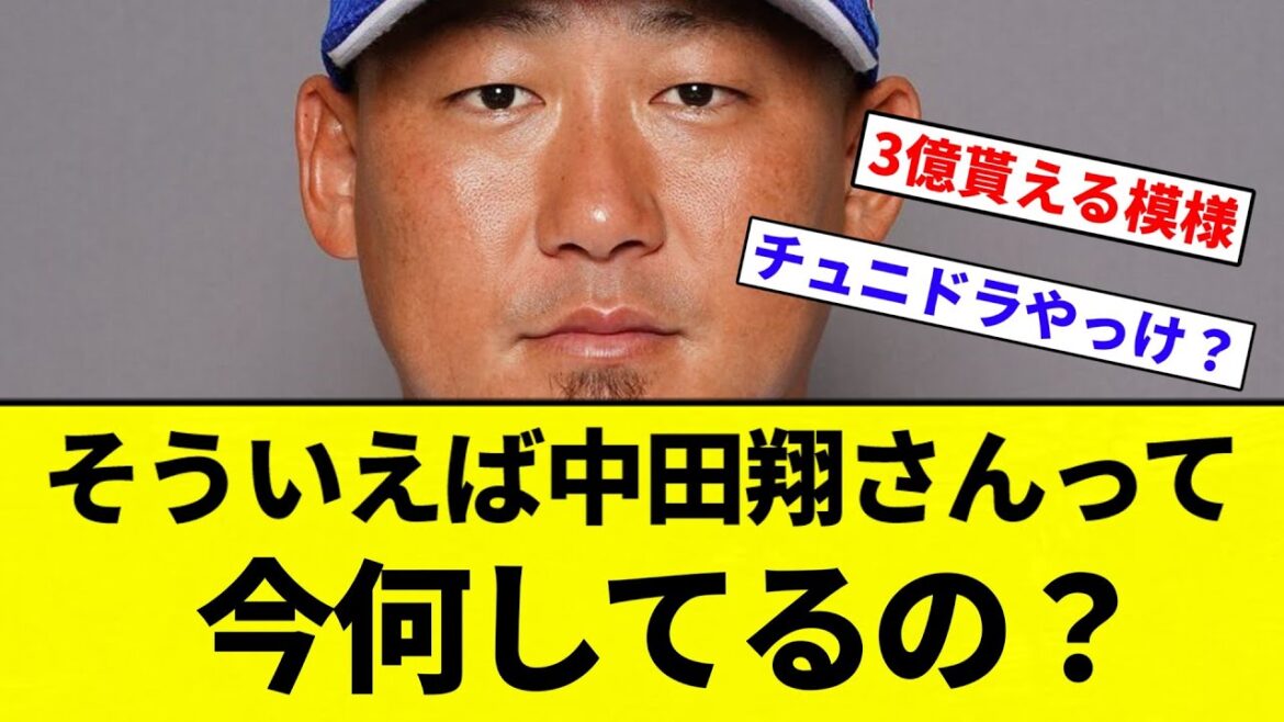 【疑問】そういえば中田翔さんって今何してるの？【プロ野球反応集】【2chスレ】【なんG】