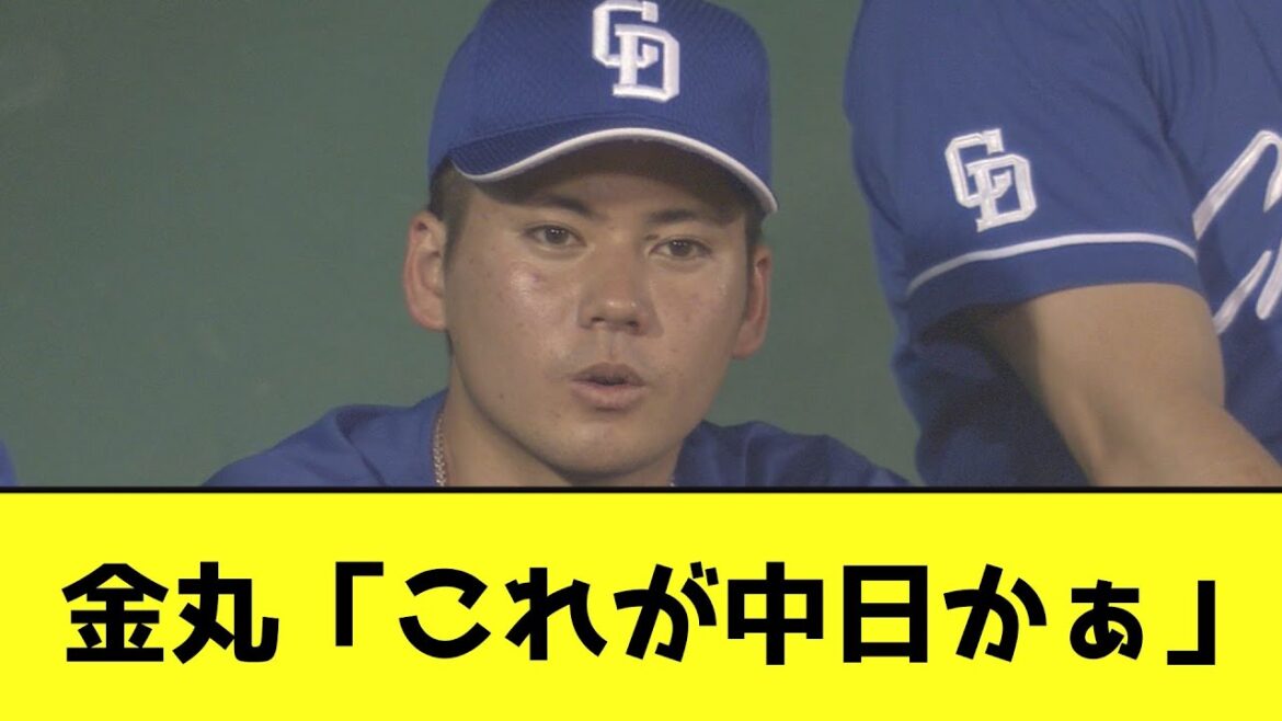 金丸「これが中日かぁ」【なんJ反応】
