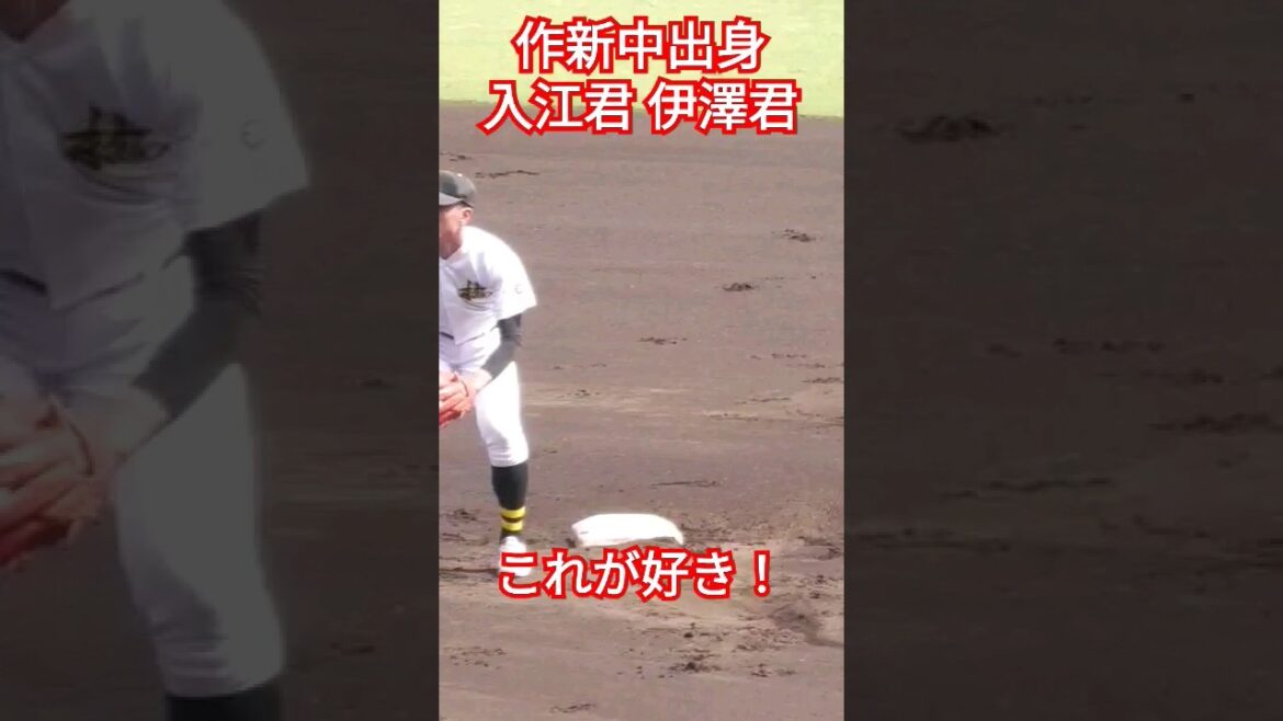 石橋高校の二遊間、入江翔太君、伊澤颯盛君イニング間の最後にやるこれがカッコいい！#高校野球 #甲子園#甲石橋高校 #入江君#伊澤君 #作新中出身#野球 #石高