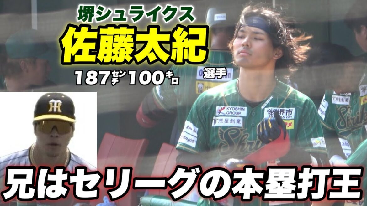 【兄ばりのスケール感！！阪神のスター選手 佐藤輝明の弟 佐藤太紀選手の全打席】