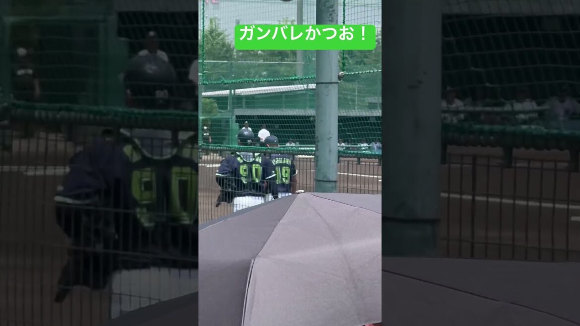 石川雅規投手ガンバレ！ヤクルトスワローズ二軍ロッテ球場