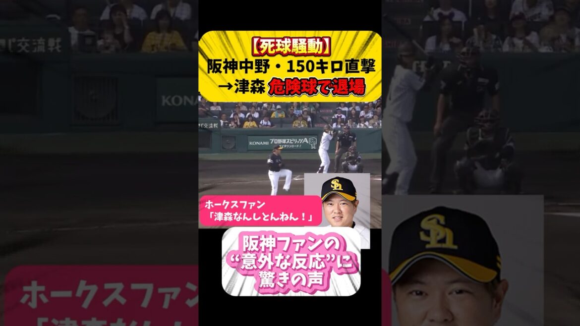 【死球騒動】阪神ファンの反応が意外すぎた。阪神中野・150キロ直撃→津森 危険球で退場