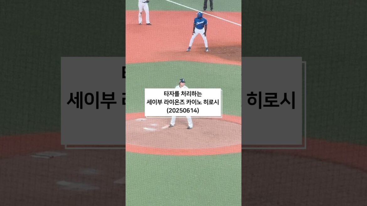 埼玉西武ライオンズ　甲斐野央　投球映像