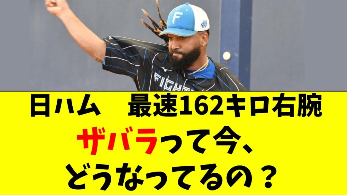【日本ハム】ザバラって結局今、どうなってるの？