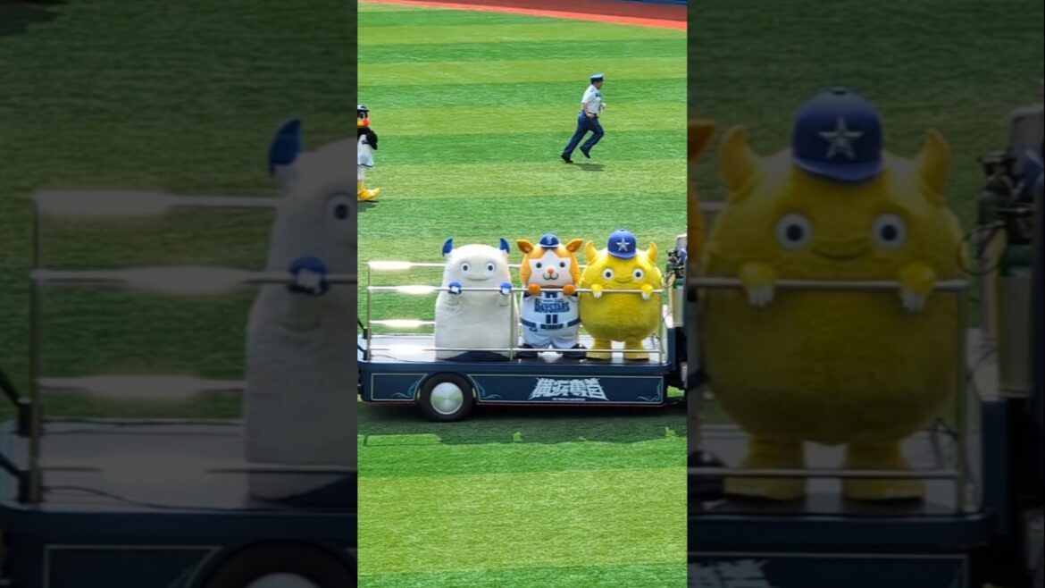 トラックで運ばれるバート･DB.スターマン･チャピーがとにかく可愛い #ベイスターズ