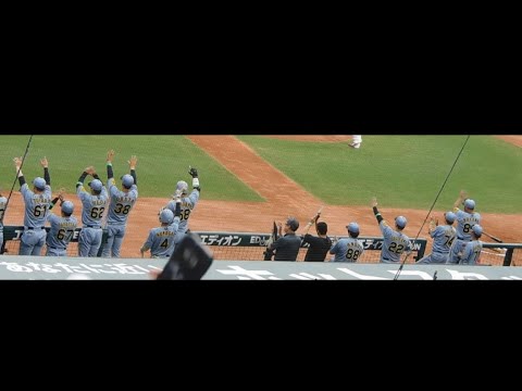 【9連勝へまず4番のバットで先制】佐藤輝明のタイムリーに沸く阪神ベンチ 好走塁の中野森下を迎える 【9連勝へまず4番のバットで先制】佐藤輝明のタイムリーに沸く阪神ベンチ 好走塁の中野森下を迎える