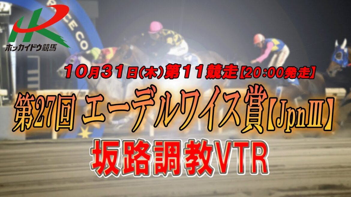 【2024坂路調教映像】10/31(木) 第11競走 エーデルワイス賞 【2024坂路調教映像】10/31(木) 第11競走 エーデルワイス賞