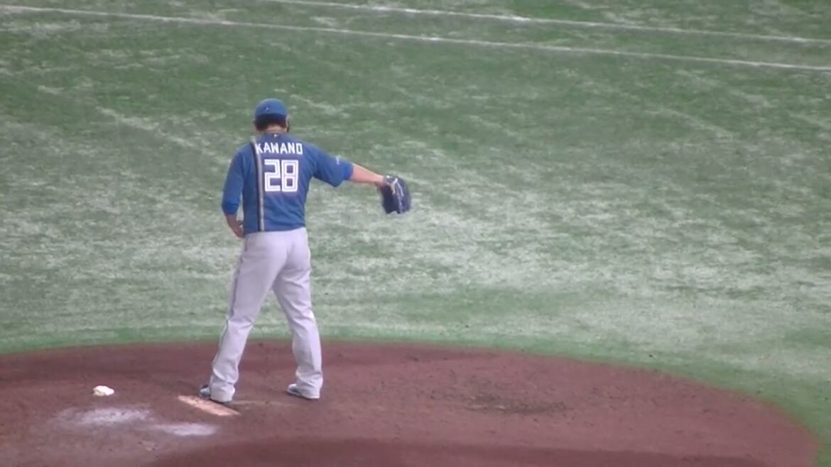 河野 竜生ピッチングフォーム＜読売ジャイアンツ対 日本ハムファイターズ2025年6月17日＞