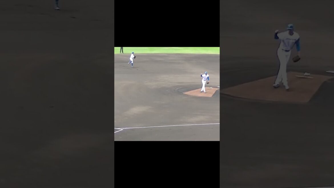 日ハム バーヘイゲン投球フォームと球筋【日本ハムファイターズ対 横浜DeNAベイスターズ2024年5月8日】