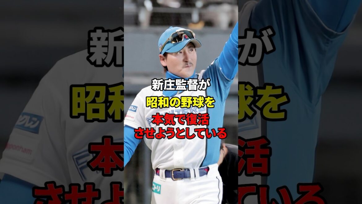 昭和野球復活!新庄のこだわりとは#野球#雑学 #新庄剛志 昭和野球復活!新庄のこだわりとは#野球#雑学 #新庄剛志