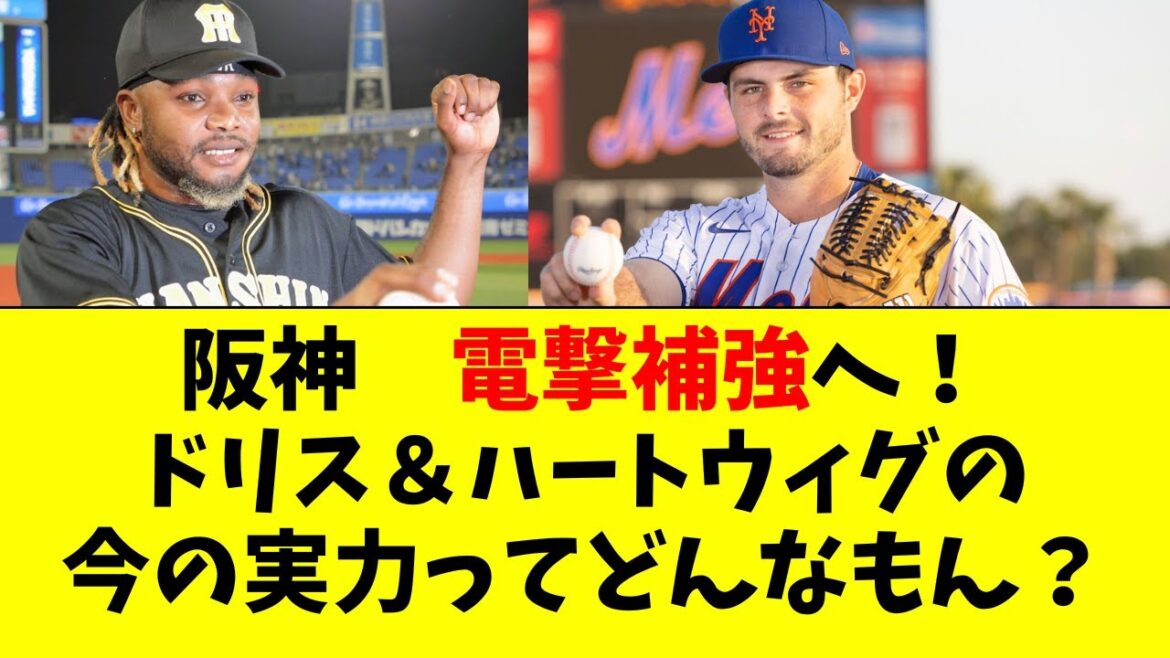 【阪神】ドリス&ハートウィグの最新の実力ってどんなもん? 【阪神】ドリス&ハートウィグの最新の実力ってどんなもん?