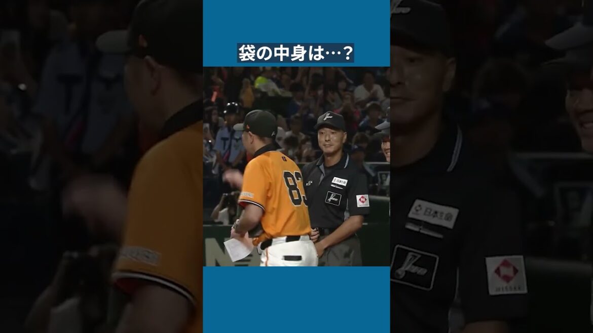 #新庄剛志 監督の〇〇に#阿部慎之助 監督もニヤニヤ #プロ野球 #ドラマチックベースボール #推測したのは鶴岡さんです