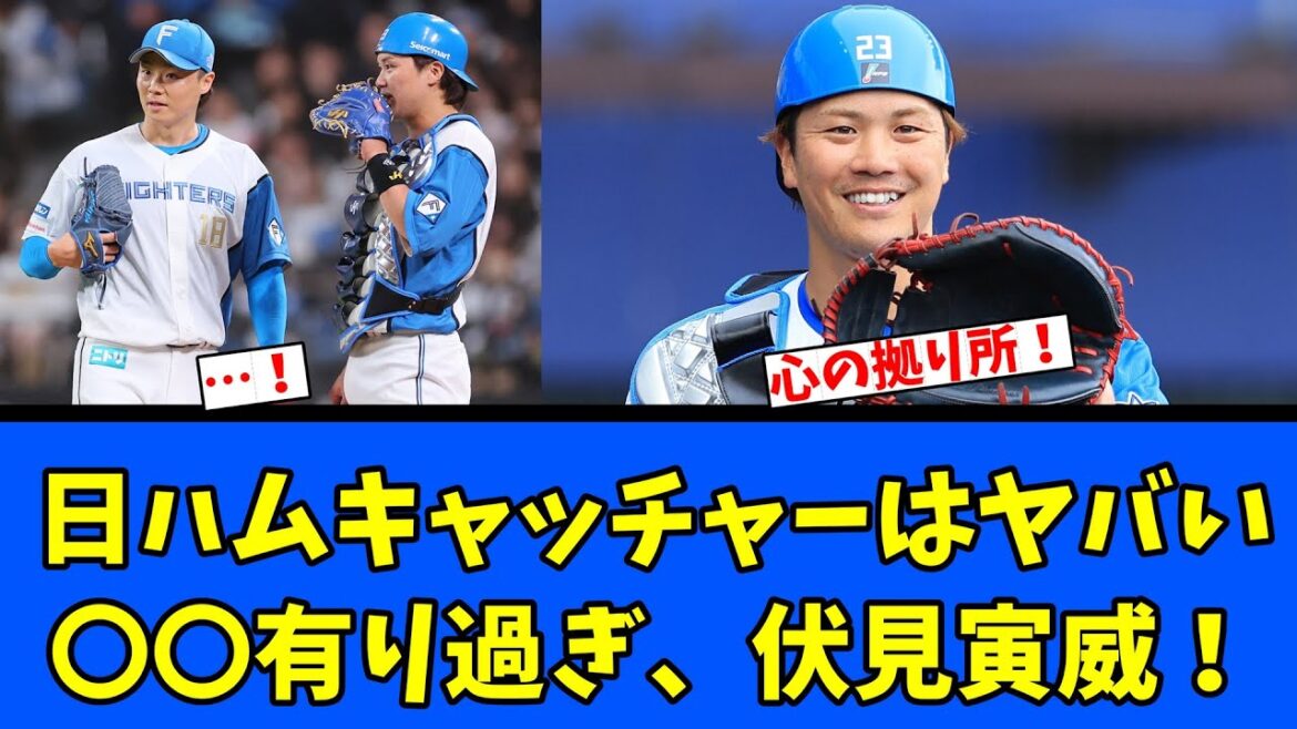 【伏見】日ハムキャッチャーヤバい○○有り過ぎ伏見寅威！
