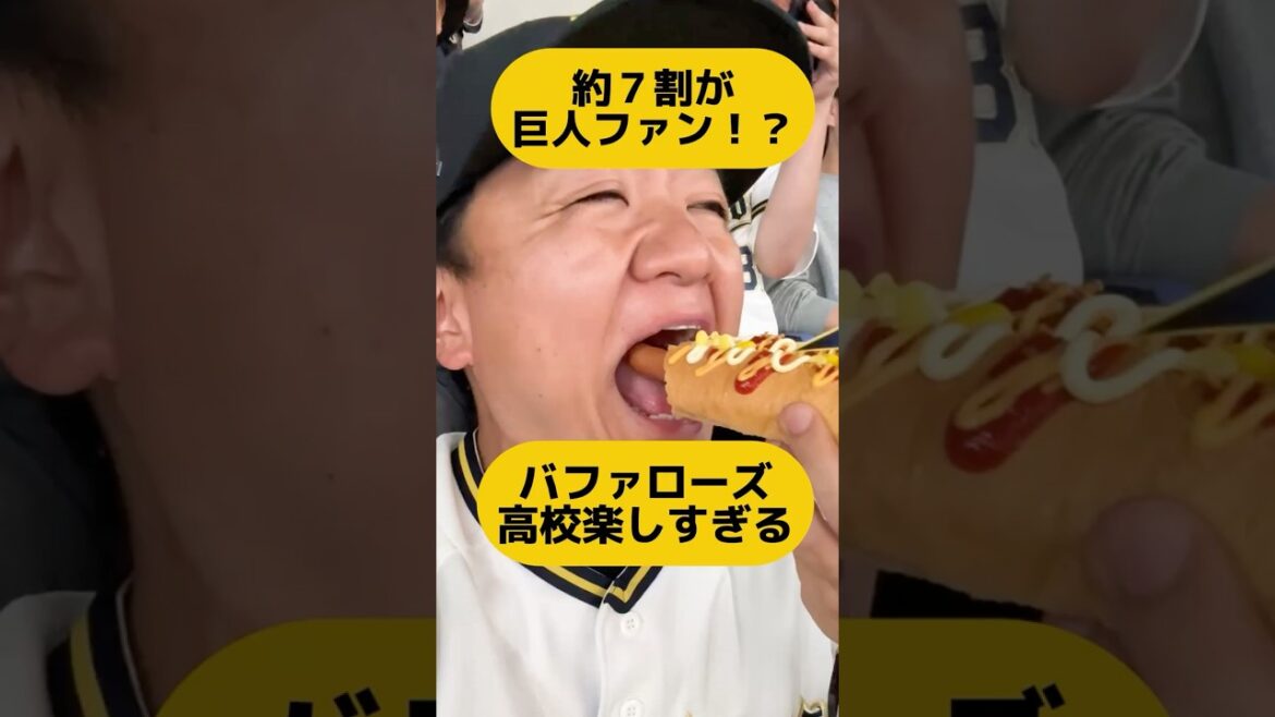 オリックスと143試合の旅 約7割が巨人ファンの京セラドーム大阪で押し出しサヨナラ #shorts オリックスと143試合の旅 約7割が巨人ファンの京セラドーム大阪で押し出しサヨナラ #shorts