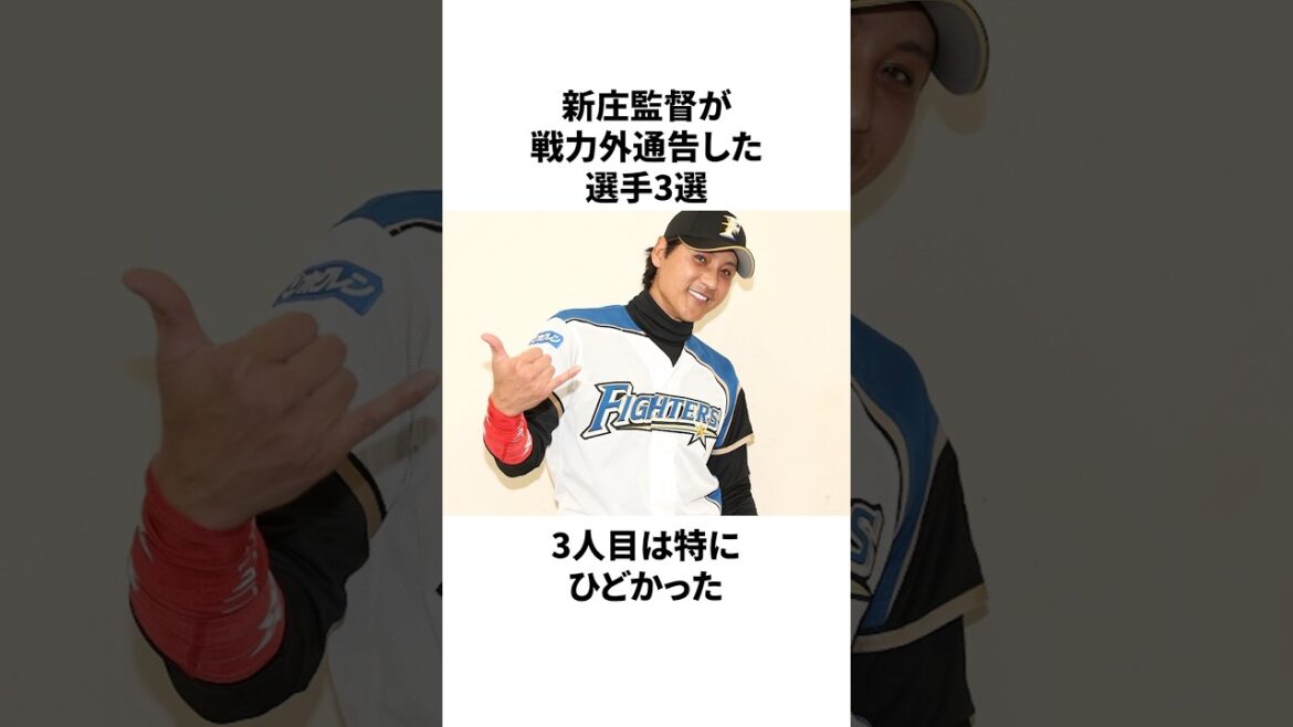 新庄監督が戦力外通告をして選手3選 #プロ野球 #野球 #npb 新庄監督が戦力外通告をして選手3選 #プロ野球 #野球 #npb