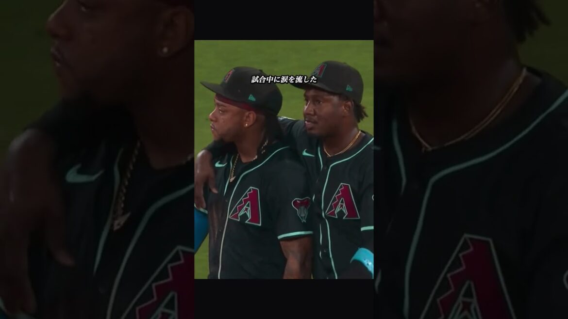 ケテル・マルテに愛を