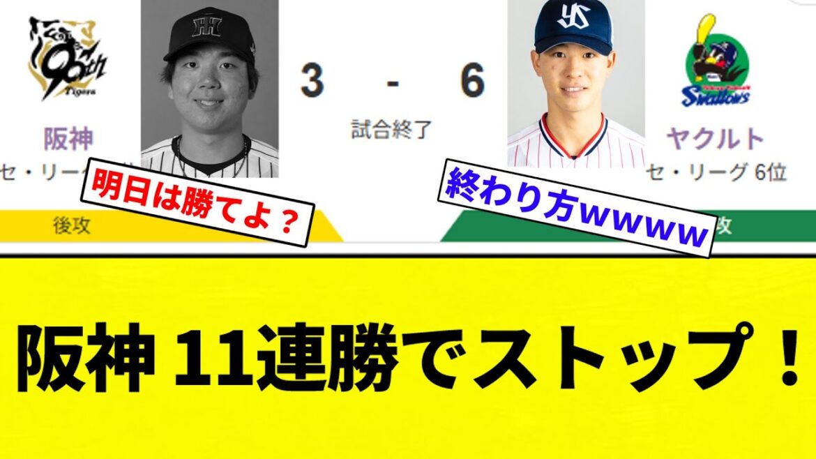【ヤクルトが撃破】阪神 11連勝でストップ！【プロ野球反応集】【2chスレ】【なんG】