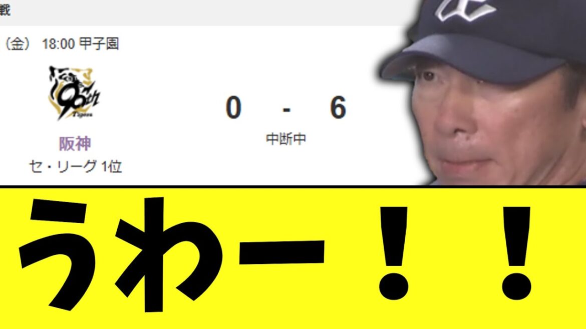 【悲報】阪神タイガース...ヤクルトスワローズ