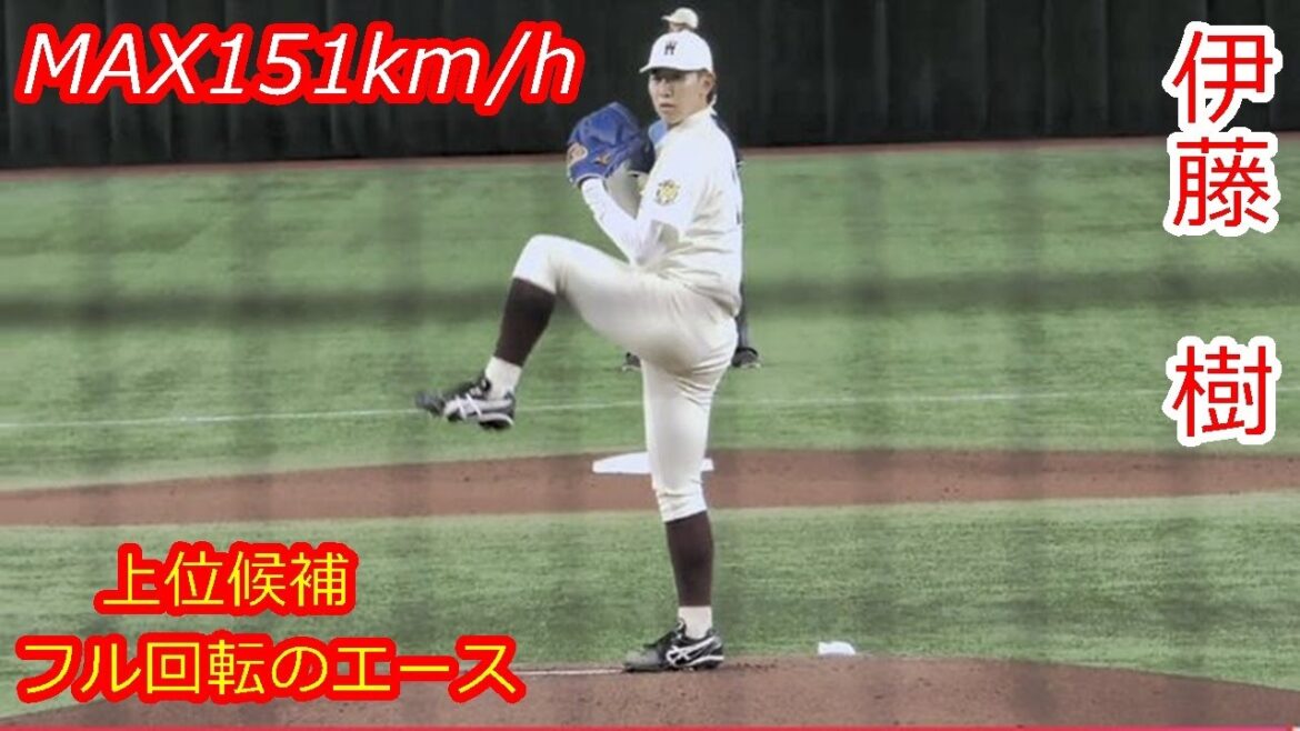 【早稲田のエース、大学代表右腕】2025年ドラフト候補　伊藤　樹（早稲田大学）