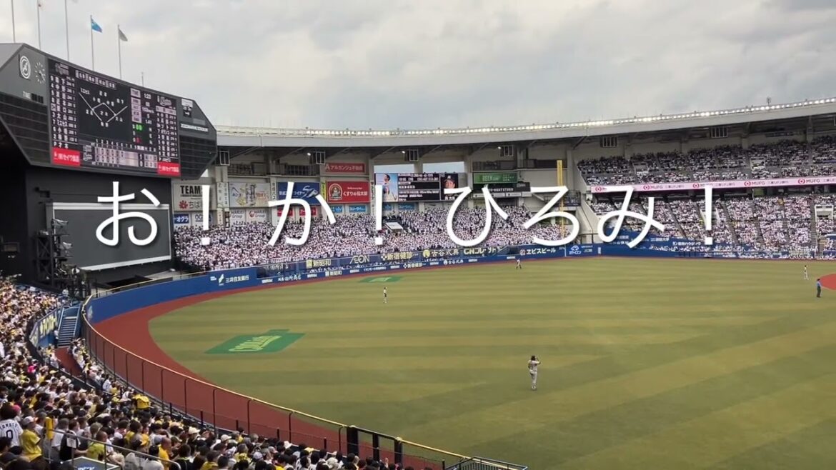 2024/6/2 ロッテ　岡大海　応援歌