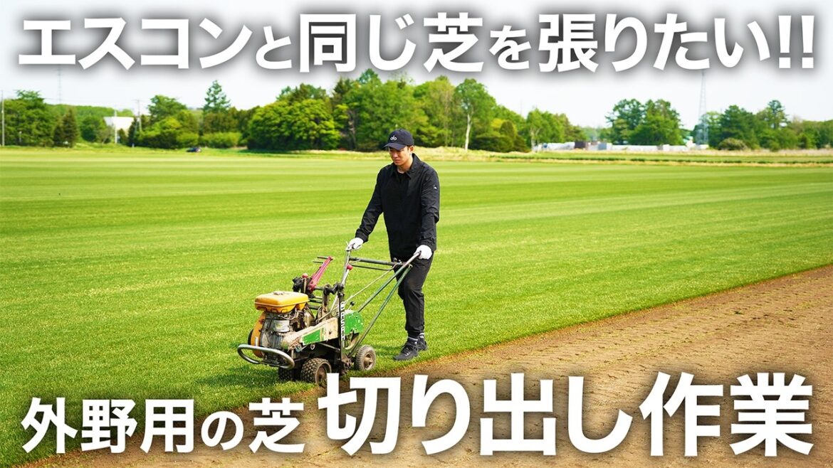 エスコンフィールドと同じ芝!? 外野用の芝の切り出し作業