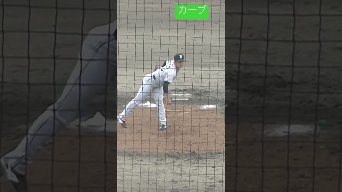 【野球選手フォーム集】戸田懐生の投球フォーム（2024年6月25日 北海道日本ハムファイターズ対 読売ジャイアンツ）