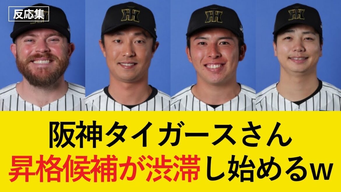 阪神タイガースさん、昇格候補が渋滞し始めるw【阪神タイガース・反応集】