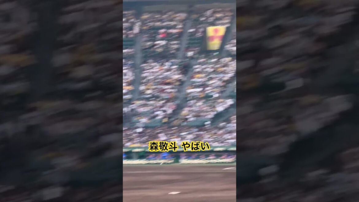 #森敬斗 守備も肩もやばい セ・リーグのショートレベル高くね？