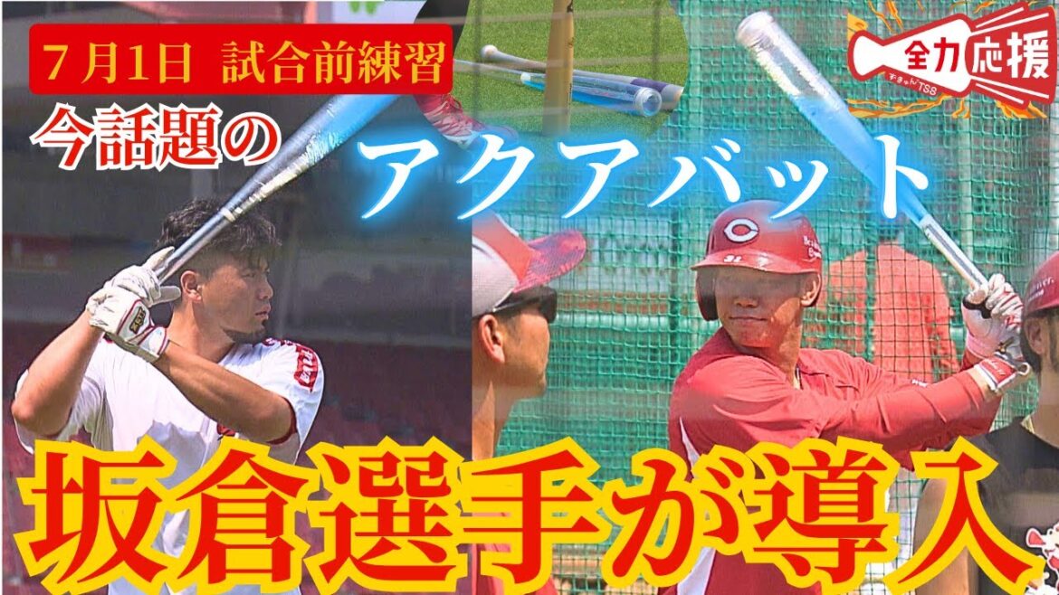 【新練習器具追加】話題の“アクアバット”を坂倉選手が導入🔥【球団認定】カープ全力応援チャンネル