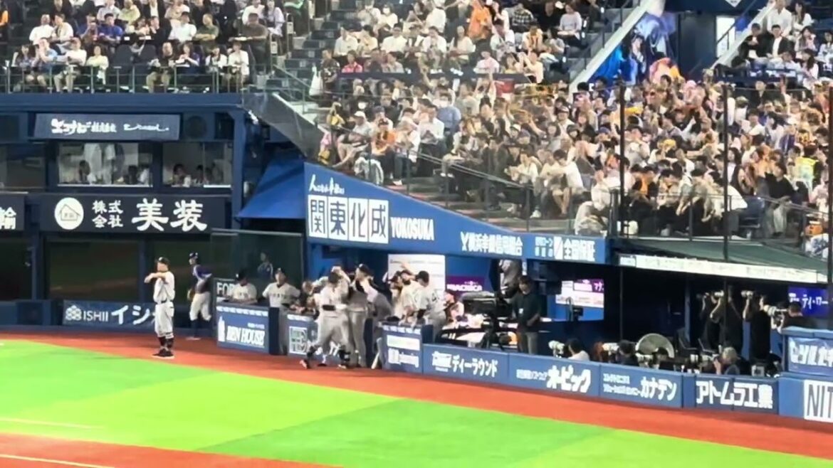 丸佳浩の同点タイムリーで盛り上がる巨人ベンチ！