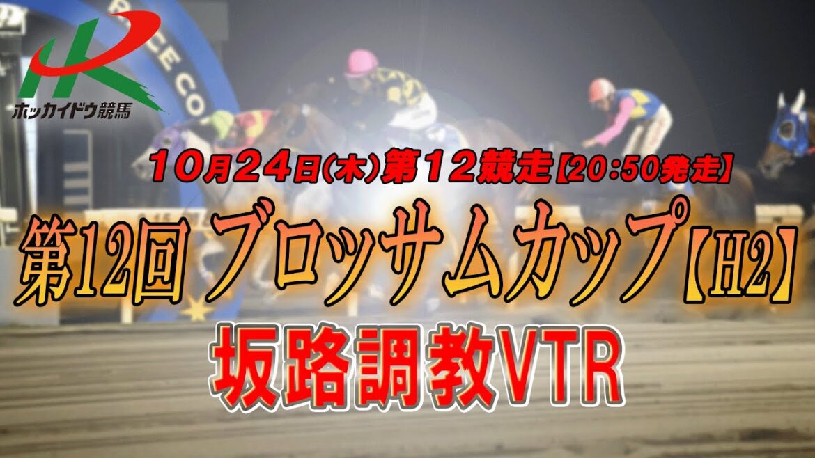 【2024坂路調教映像】10/24（木）　第12競走　ブロッサムカップ