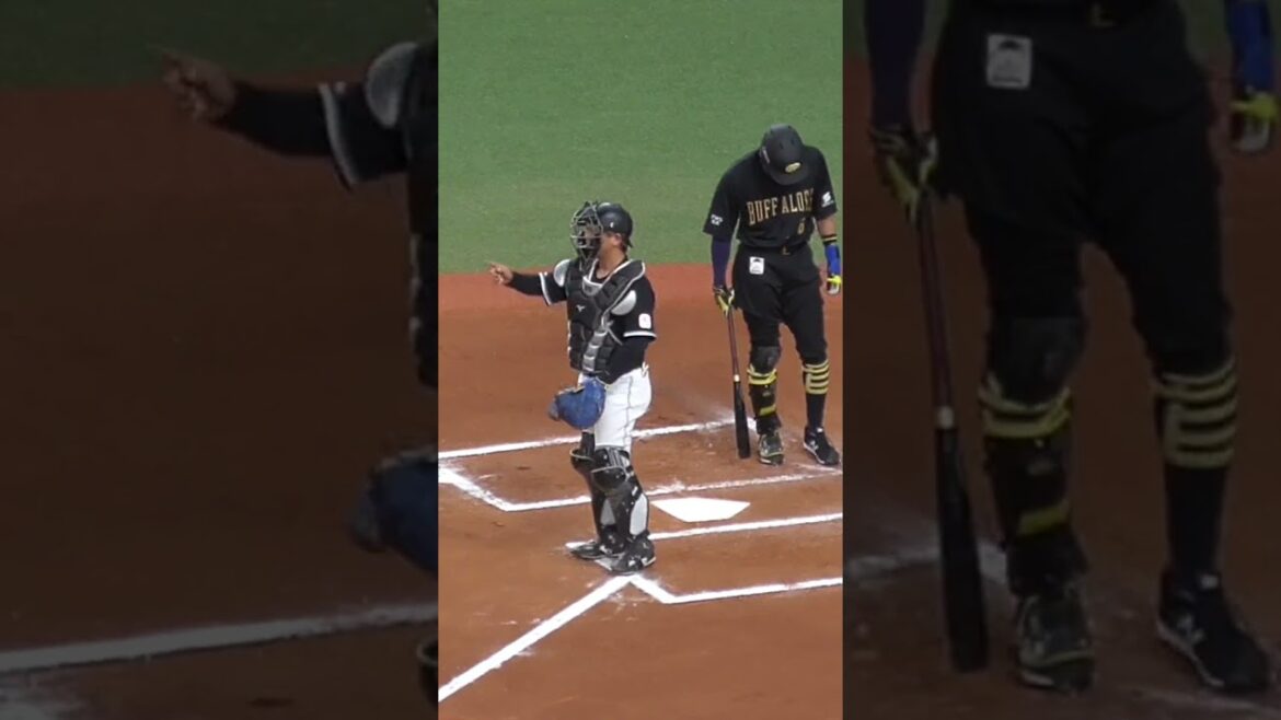 田村 龍弘　サインと不思議な動きで野手に守備位置を伝達　#千葉ロッテマリーンズ